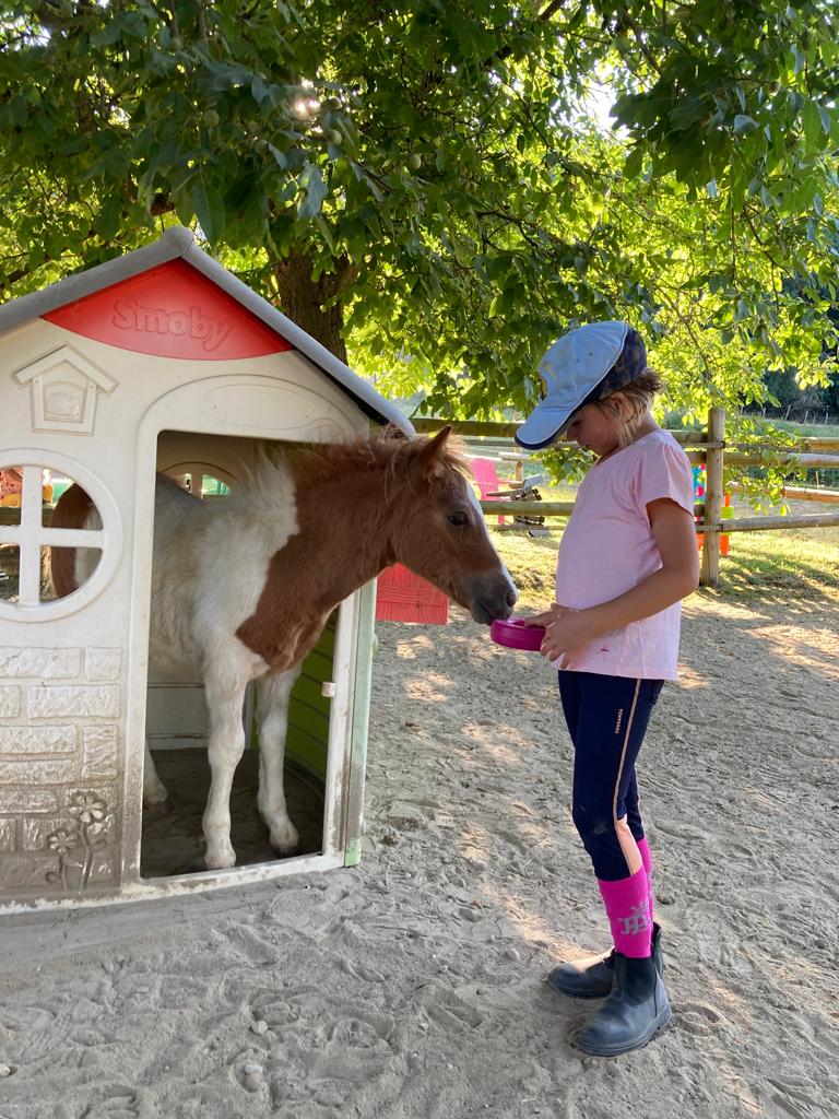 Activités poney proposées aux Écuries des Pious