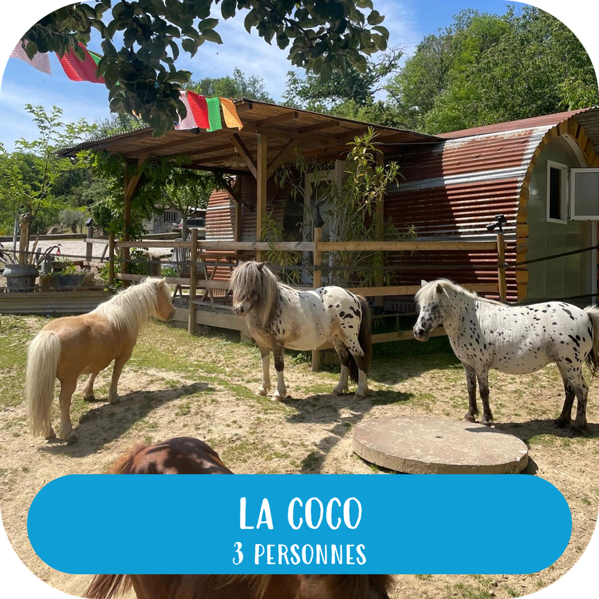 La Coco — hébergement aux Écuries des Pious