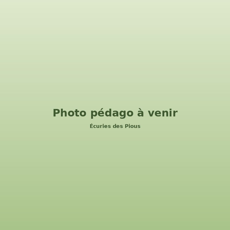 Photo pédagogique à venir — Écuries des Pious