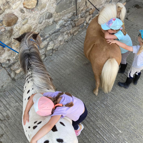 Câlins aux poneys après la balade — Écuries des Pious