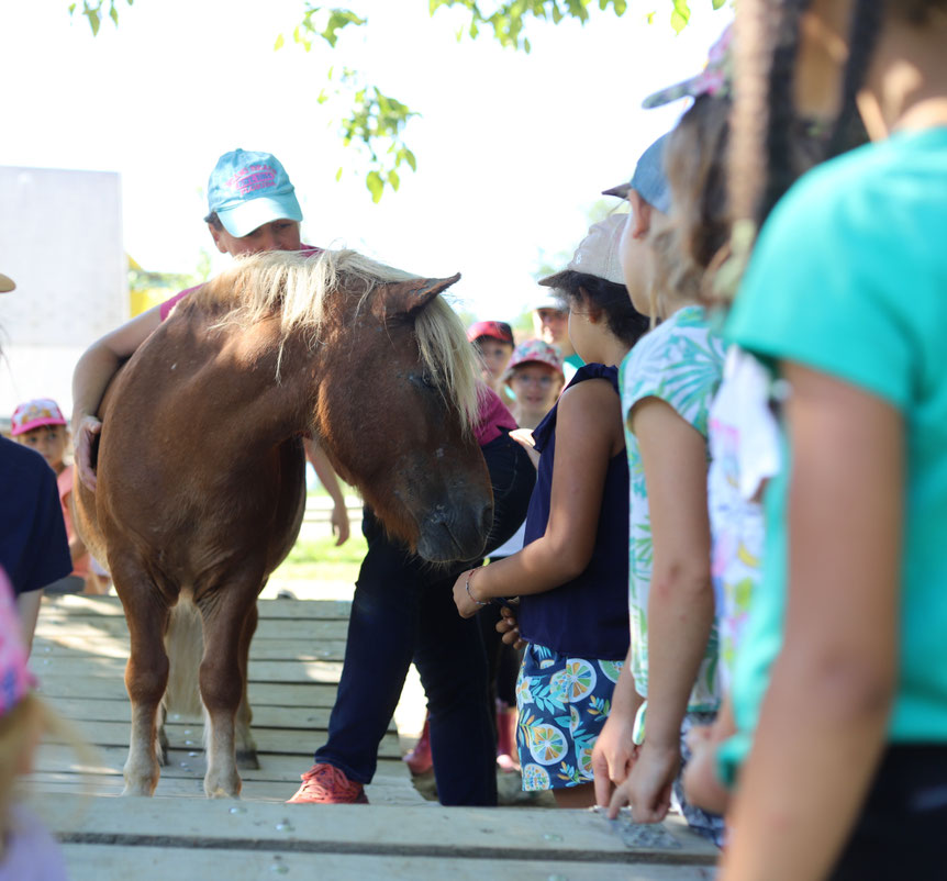 Le Pony Bus des Écuries des Pious en visite