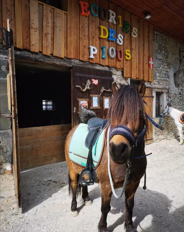 Balade au pas avec les poneys