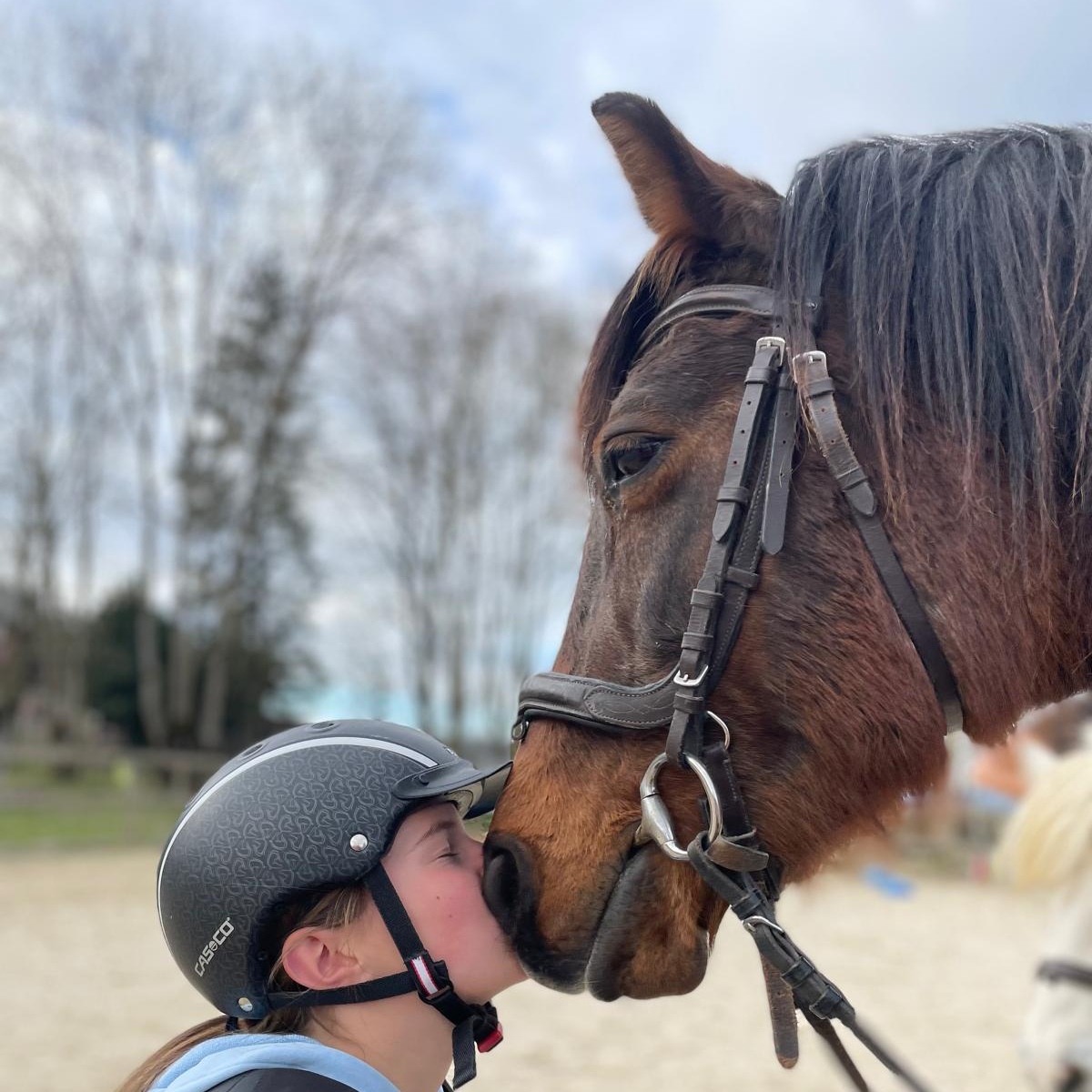 Séances collectives à l'année d'équitation